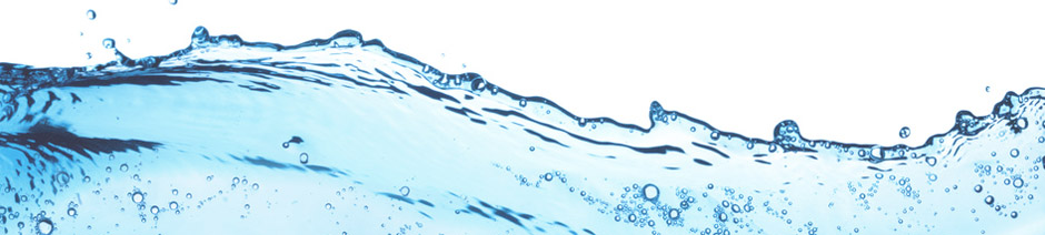 hydrobiology_banner.jpg (59 KB)