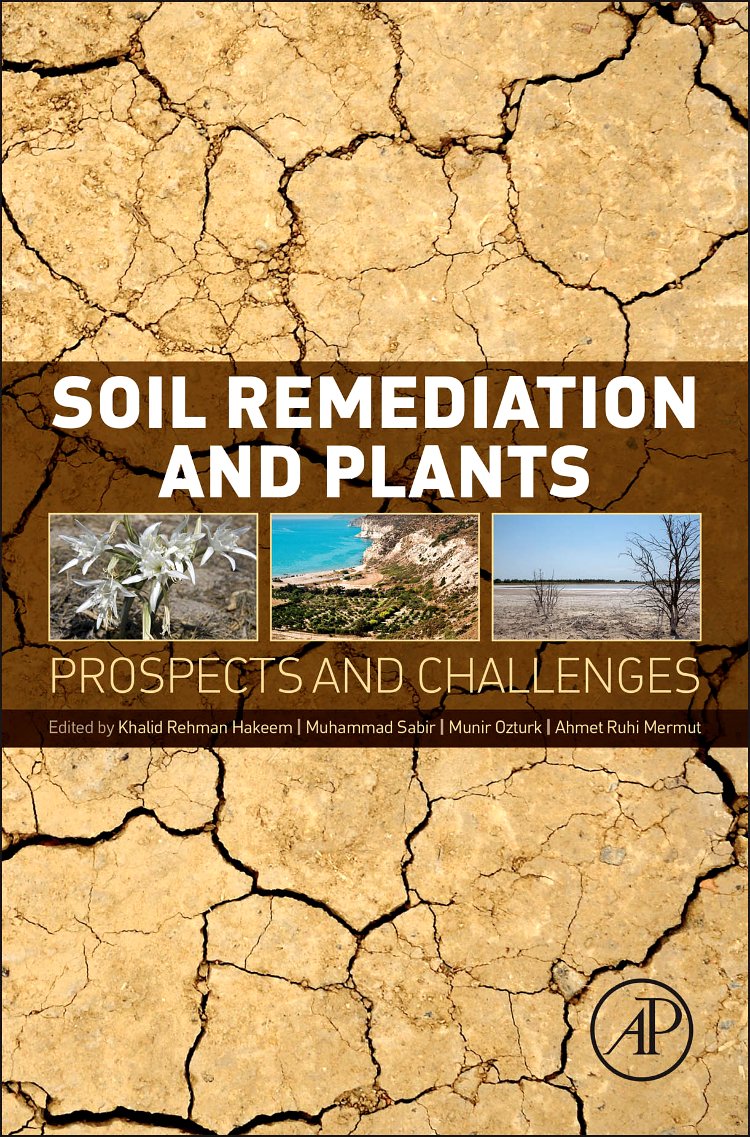 ilker hoca soil remediation.jpg (287 KB)
